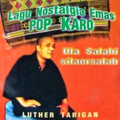 Ulah Salahi Silaersalah artwork