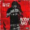 Body Bag - Single album lyrics, reviews, download