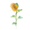 Sunflower - Single