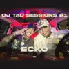 ECKO DJ TAO TURREO SESSIONS #1 - Single album lyrics, reviews, download