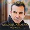 Anadolu Aryaları Vol. II