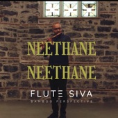 Neethane Neethane (Flute Instrumental) artwork