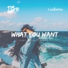 What You Want (feat. Nicole Gartz) - Single