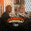 Stream & download A Garota Errada - Single