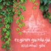 İstanbul Gibi