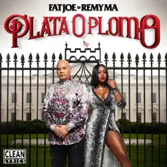 Heartbreak (feat. The-Dream & Vindata) - Single by Fat Joe & Remy Ma album reviews, ratings, credits