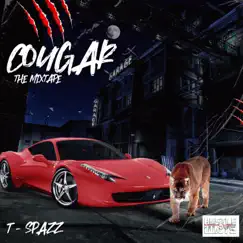 Cougar by T-Spazz album reviews, ratings, credits
