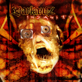 Insanity (Bonus Version) - Darkane