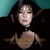 Who Stole the Skies artwork