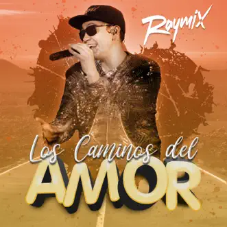 Los Caminos Del Amor - Single by Raymix album reviews, ratings, credits
