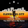 You Don't Know My Name (feat. Kiddo) - Single album lyrics, reviews, download
