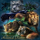 Animal Planet artwork