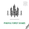 Peaceful Forest Sounds with White Noise, Loopable album lyrics, reviews, download