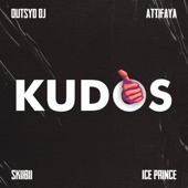 Kudos (feat. Ice Prince) artwork