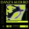 Danza Kuduro (Remix) artwork
