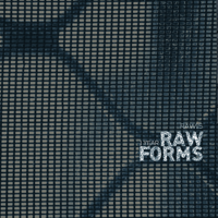 Various Artists - 1 Year RAW FORMS artwork