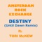Destiny (feat. Tori McKew) [Until Dawn remix] artwork