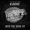 Into the Dark - EP