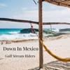 Down In Mexico - Single