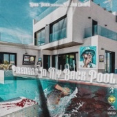 Piranhas In My Back Pool (feat. Yasmii Good) artwork