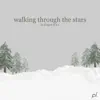 Walking Through the Stars - Single album lyrics, reviews, download