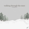 Walking Through the Stars - Single