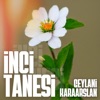 İnci Tanesi