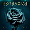 Kiss from a Rose - Single album lyrics, reviews, download