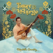Pokey LaFarge - So Long Chicago