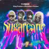 Sugarcane (feat. King Promise) [Remix] song lyrics