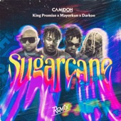 Camidoh - Sugarcane (feat. King Promise) [Remix]