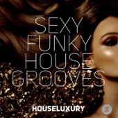 Sexy Funky House Grooves artwork