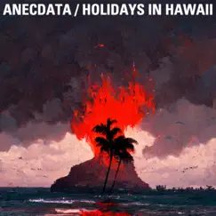 Holidays in Hawaii Song Lyrics