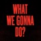 What We Gonna Do? (Kevin McKay Remix) - Vanilla Ace & dharkfunkh lyrics