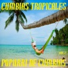 Cumbias Tropicales - popurrí de cumbias