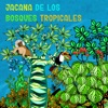 Jacana de los Bosques Tropicales