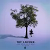 Try Loving (feat. MOZA) - Single album lyrics, reviews, download
