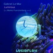 In2 the Blue (Marko Fuerstenberg Remix) artwork