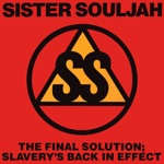 The Final Solution: Slavery's Back In Effect - Single