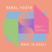 What Is Soul (Joris Voorn Remix) artwork