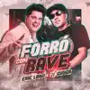 Forró com Rave song lyrics