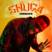 Shuga artwork