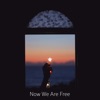 Now We Are Free - Single