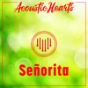 Señorita - Single