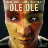 Ole Ole (Extended Mix) artwork