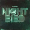 Stream & download Nightbird - Single