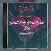 Dont Say You Love Me artwork
