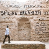 Smiling Organizm, Vol. 1 (feat. Eric Harland, Larry Grenadier, Liam Noble, Tim Lefebvre & Vitaly Golovnev) artwork