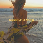 Goodbye Summer artwork