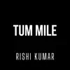 Tum Mile (Instrumental Version) song lyrics